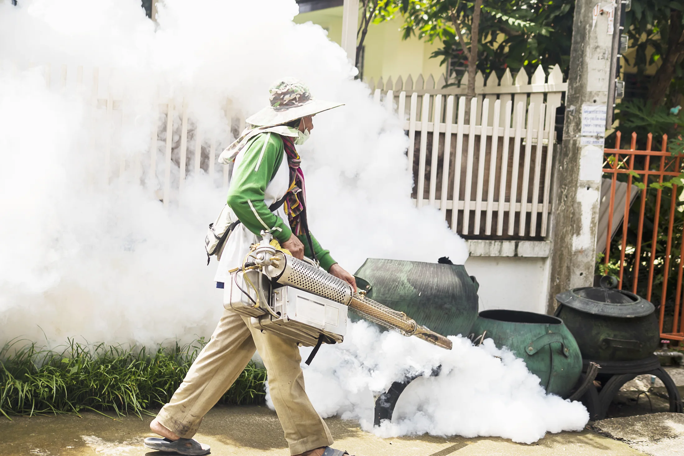 Outdoor fogging and mosquito-control service
